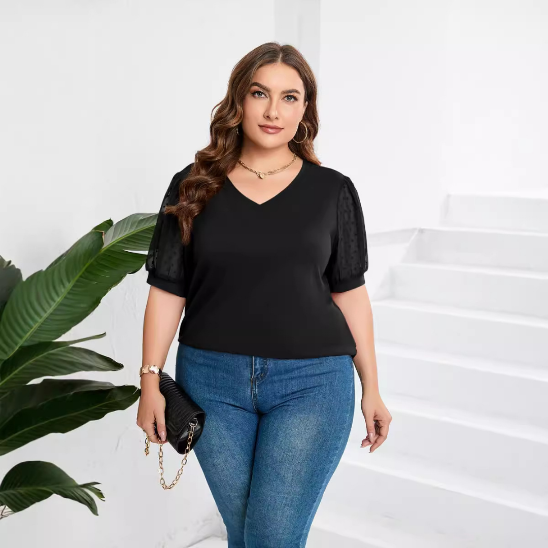 Brianna - Sheer Sleeve V-Neck Top
